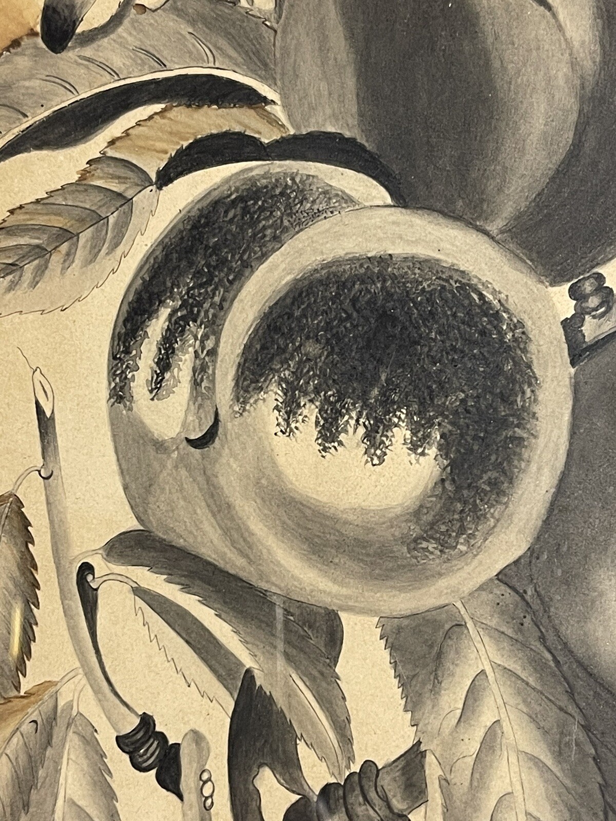 Antique Ink Wash and Watercolor Painting Still Life of Caterpillar on Fruit Tree