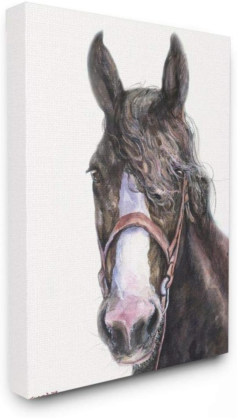 Large Horse Head Animal Watercolor Painting
