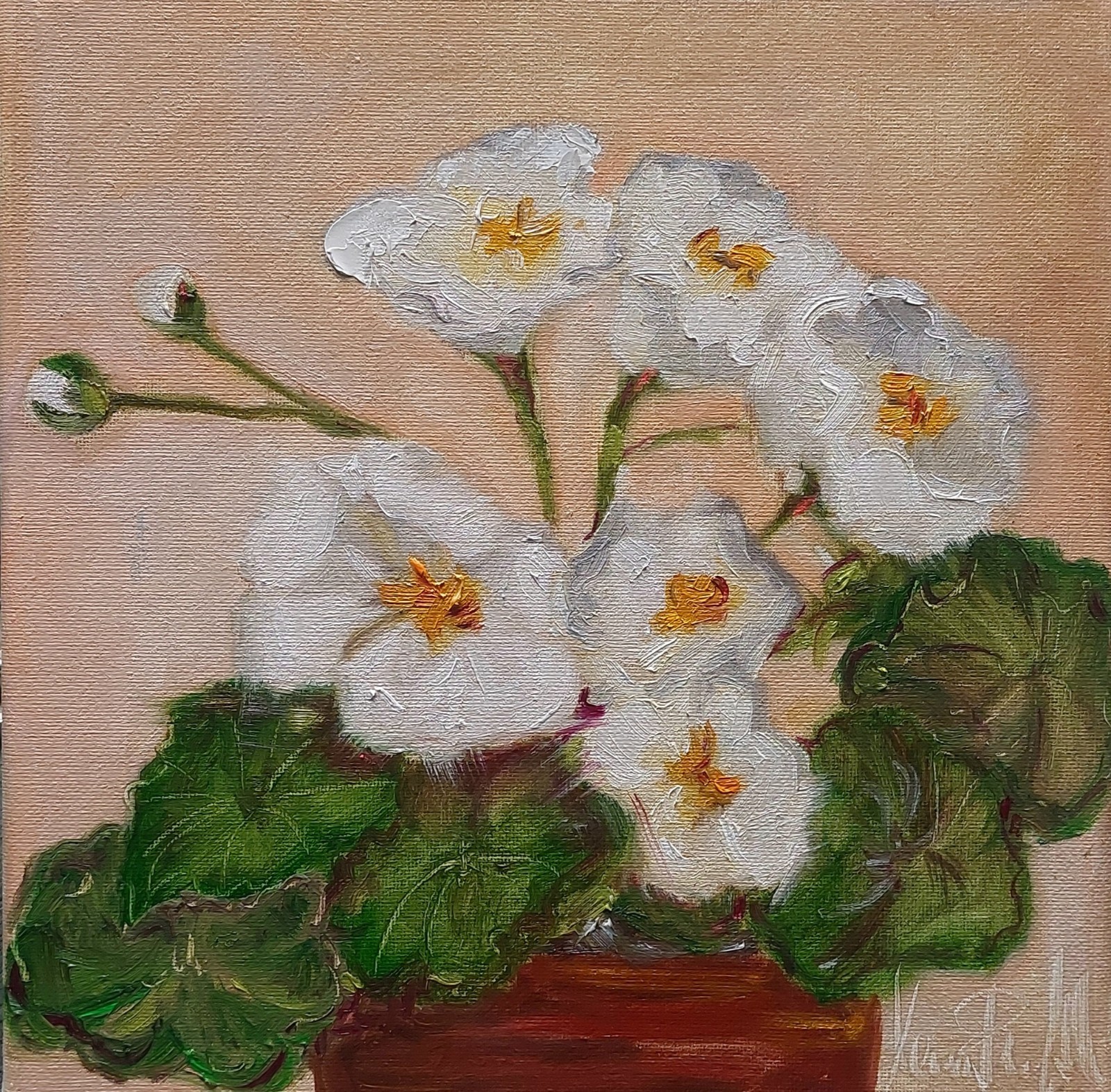 Oil still life painting on canvas size 10×10 inches