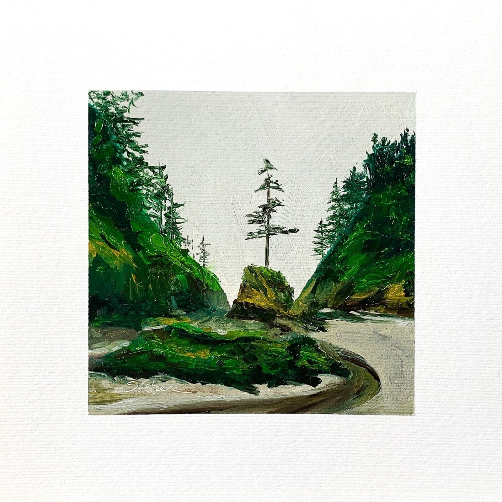 8×8 PNW Original Oil Painting Seascape Pacific Dead Man’s Cove Washington Signed