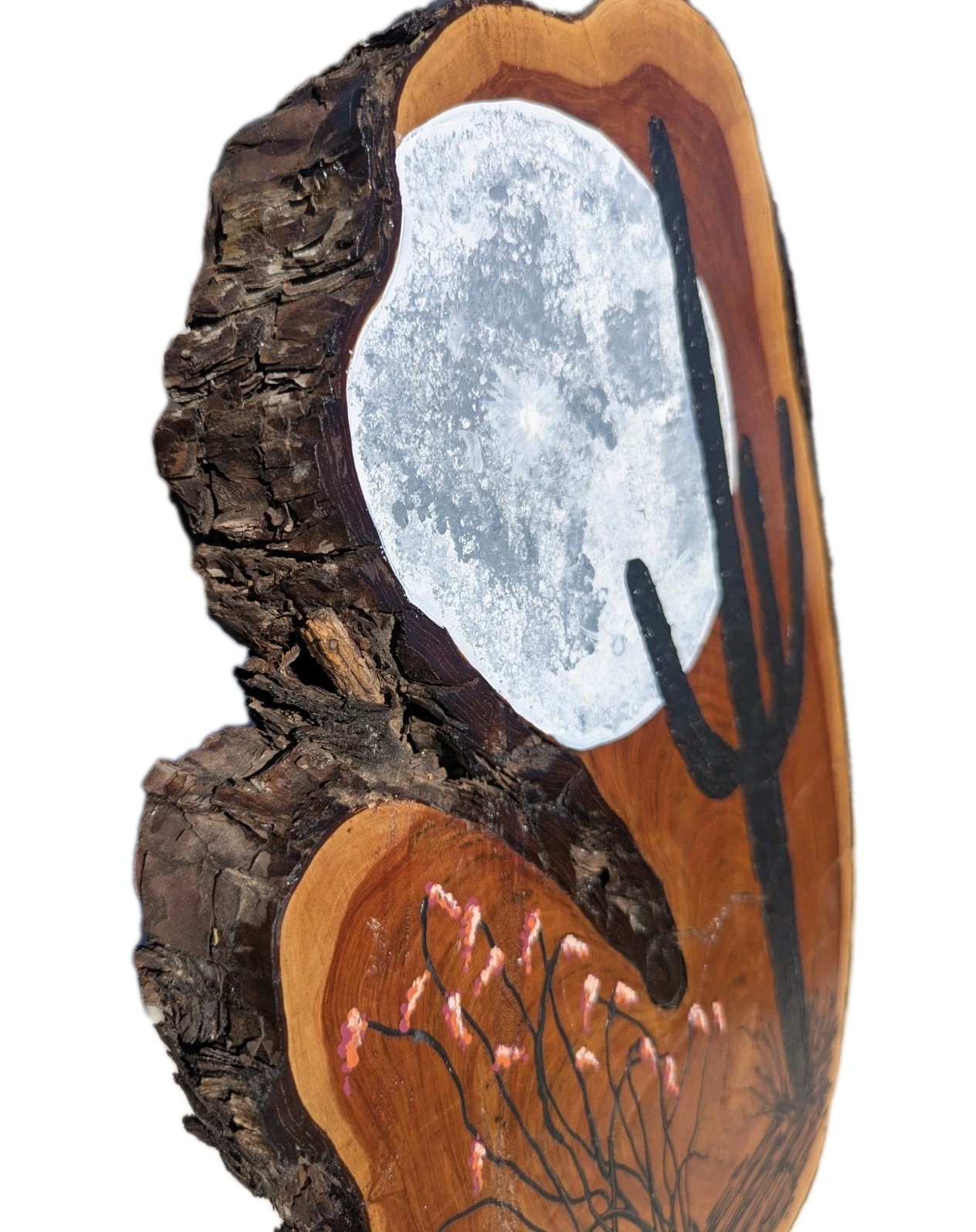 Original Southwest Desert Art Hand Painted on Live Edge Wood Slice Saguaro Moon