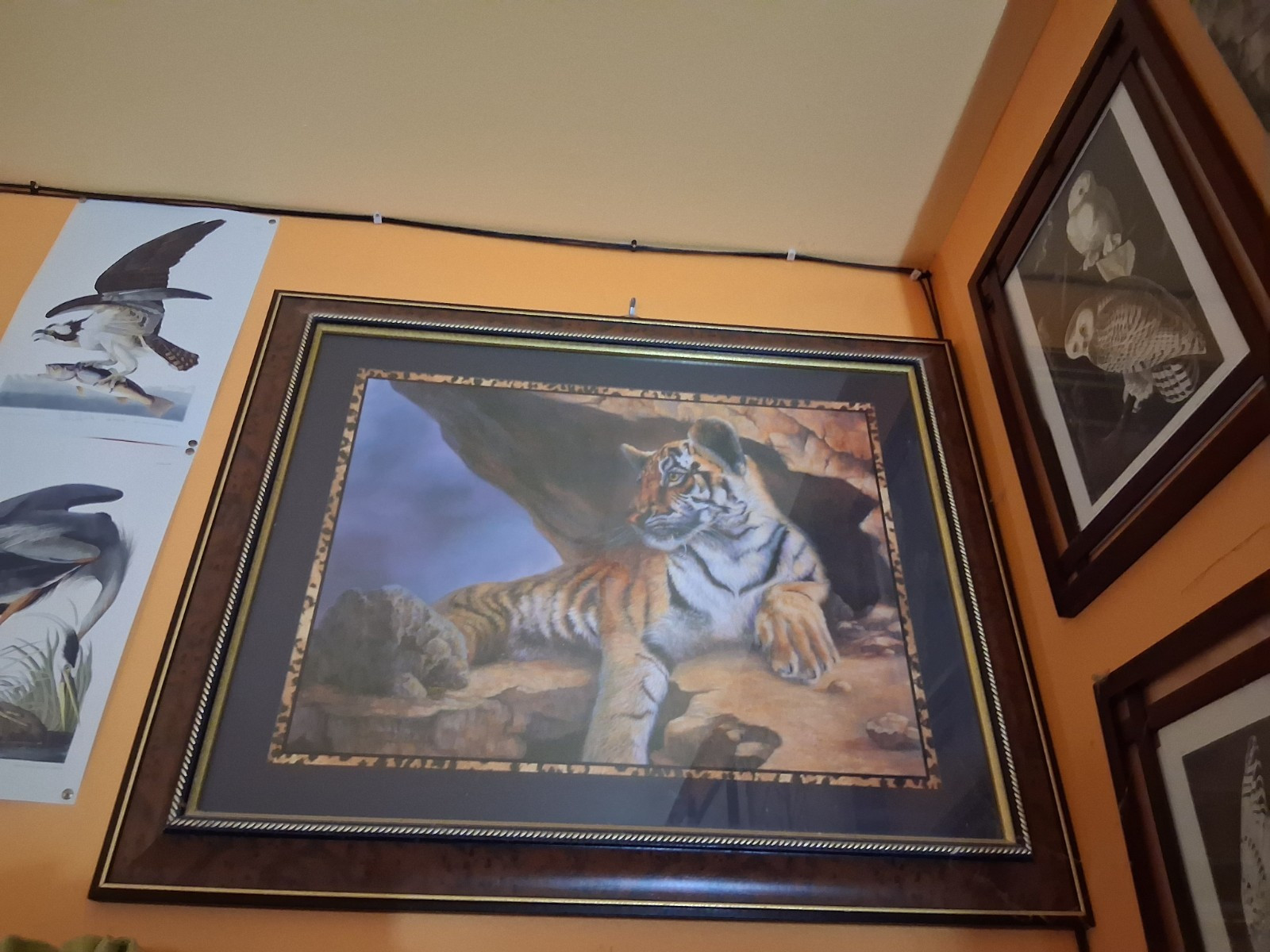 Large Framed Tiger Canvas Painting Art Animal Nature Single Piece