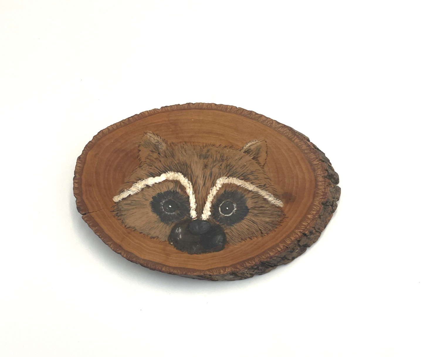 Vtg Raccoon on Rough Wood Slab Plaque Art Hand Painted Cabin Lodge Farmhouse