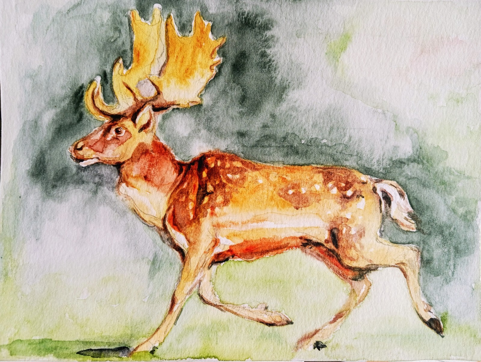 Nature lover gift,deer art,wildlife authentic wall art watercolor on paper,