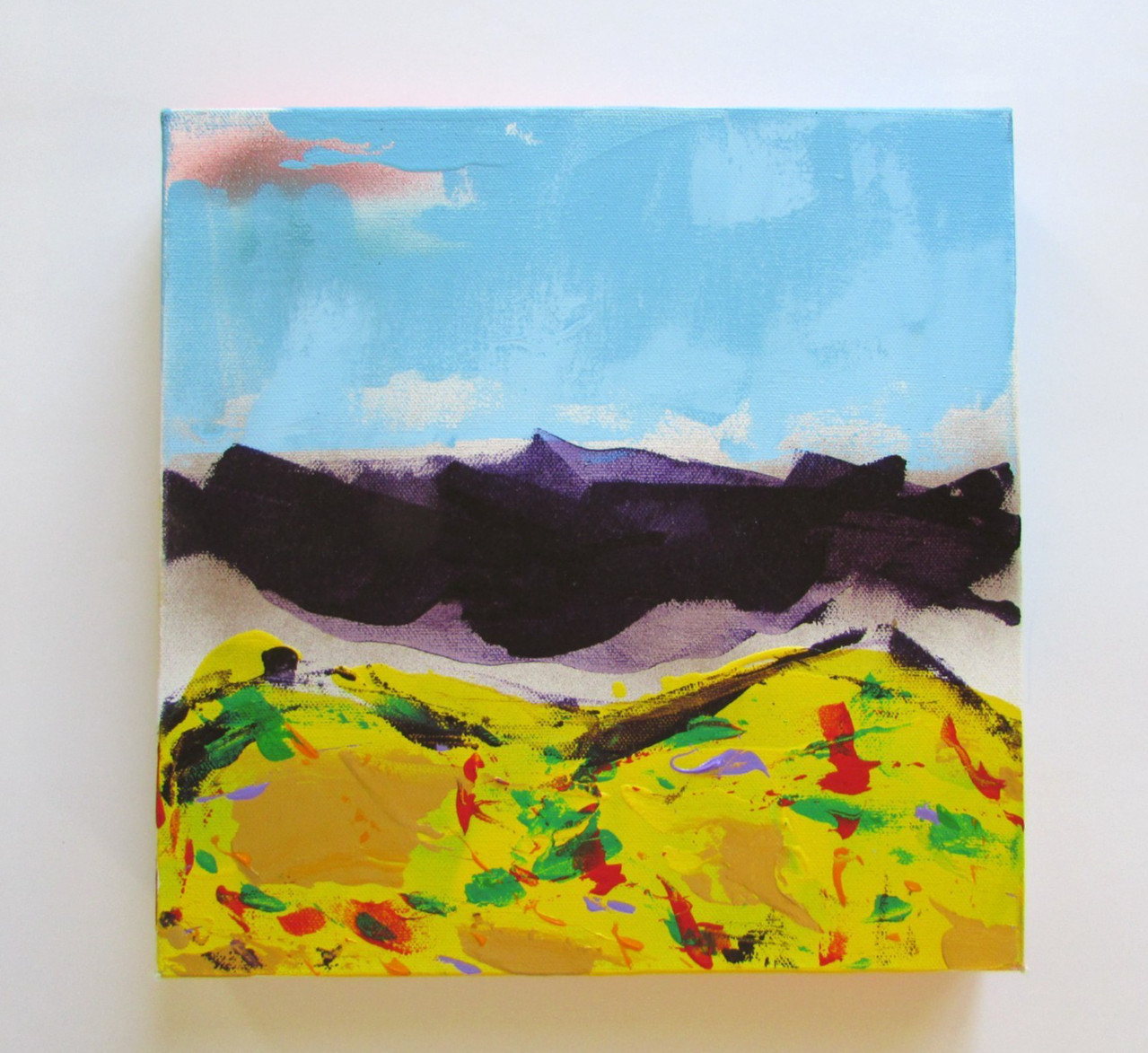 Ross Chaney SantaFe OsageCherokee Native American New Mexico Mountain Landscape