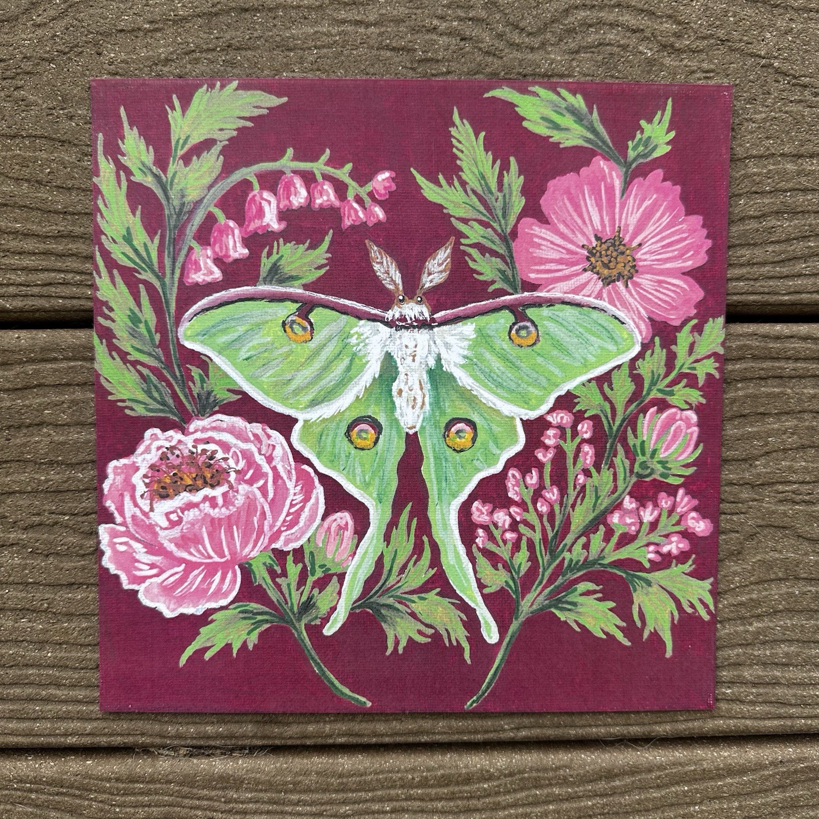8×8 Luna Moth Acrylic Marker Painting PRINT Bug Art