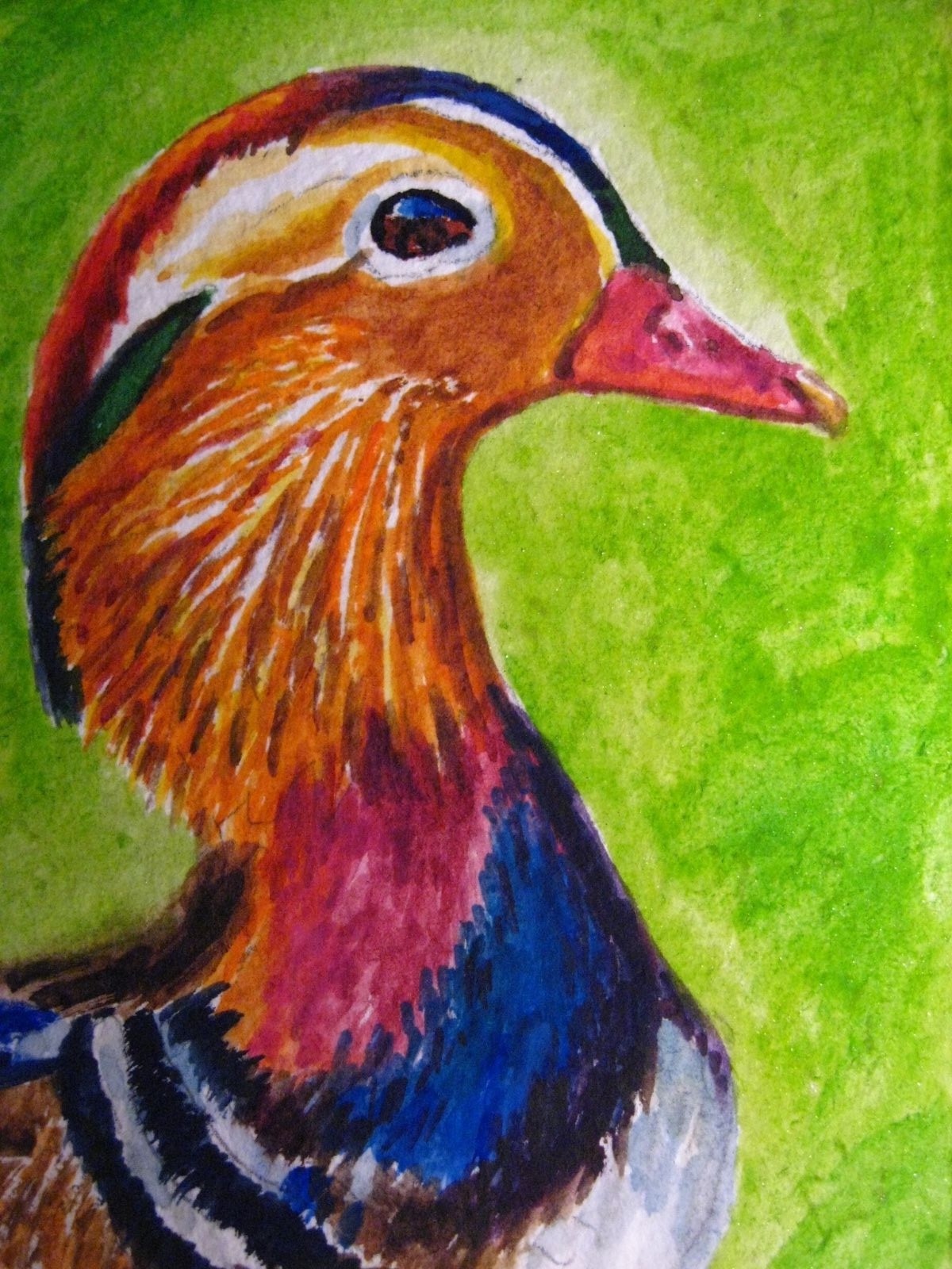 Watercolor Painting Colorful Feathers Mandarin Duck Bird ACEO Art