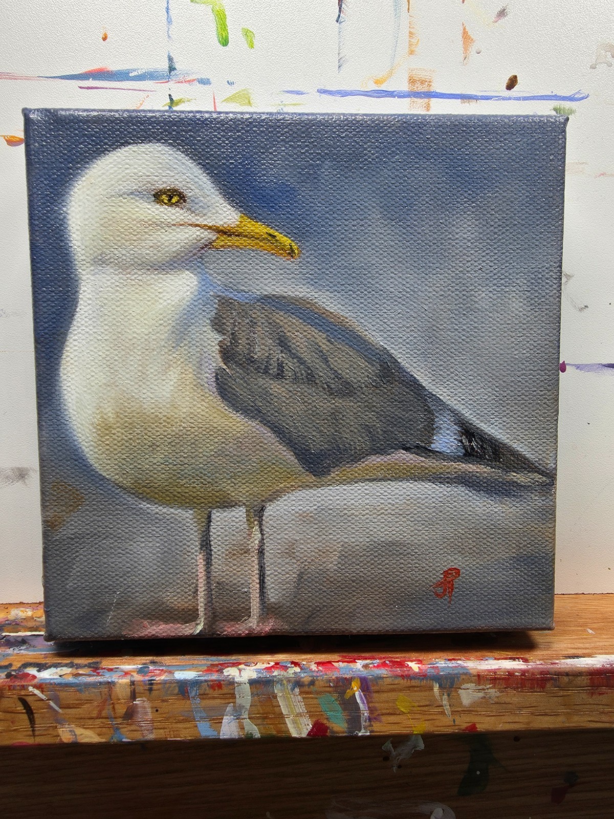 Original oil painting 6 in x 6in of a seagull, on 1 1/2 in gallery canvas