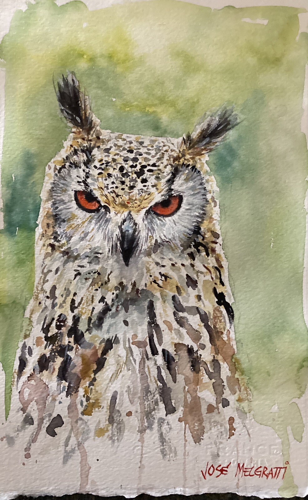 Watercolor Original Painting 11″ x 7” Stare NOT A PRINT