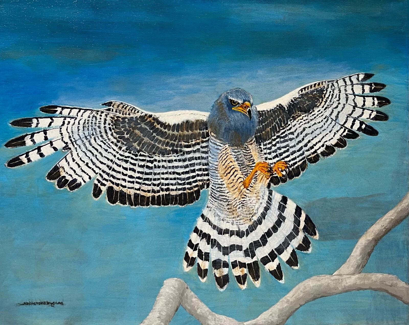 Peregrine Falcon, acrylic painting on canvas by original artist, hand painted