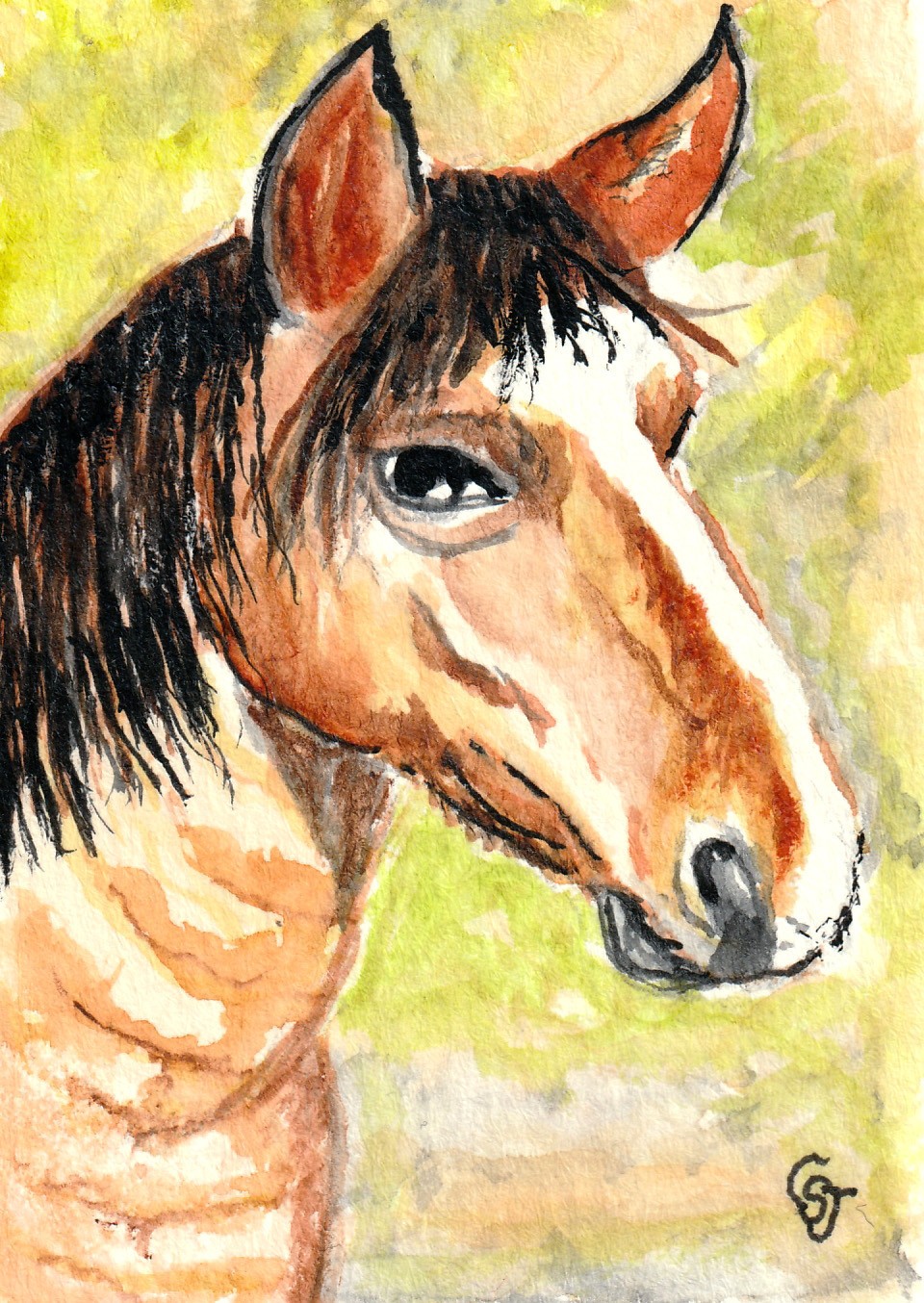 ACEO Original Watercolor Painting Horse Head Animal Art Signed by CS Jackson