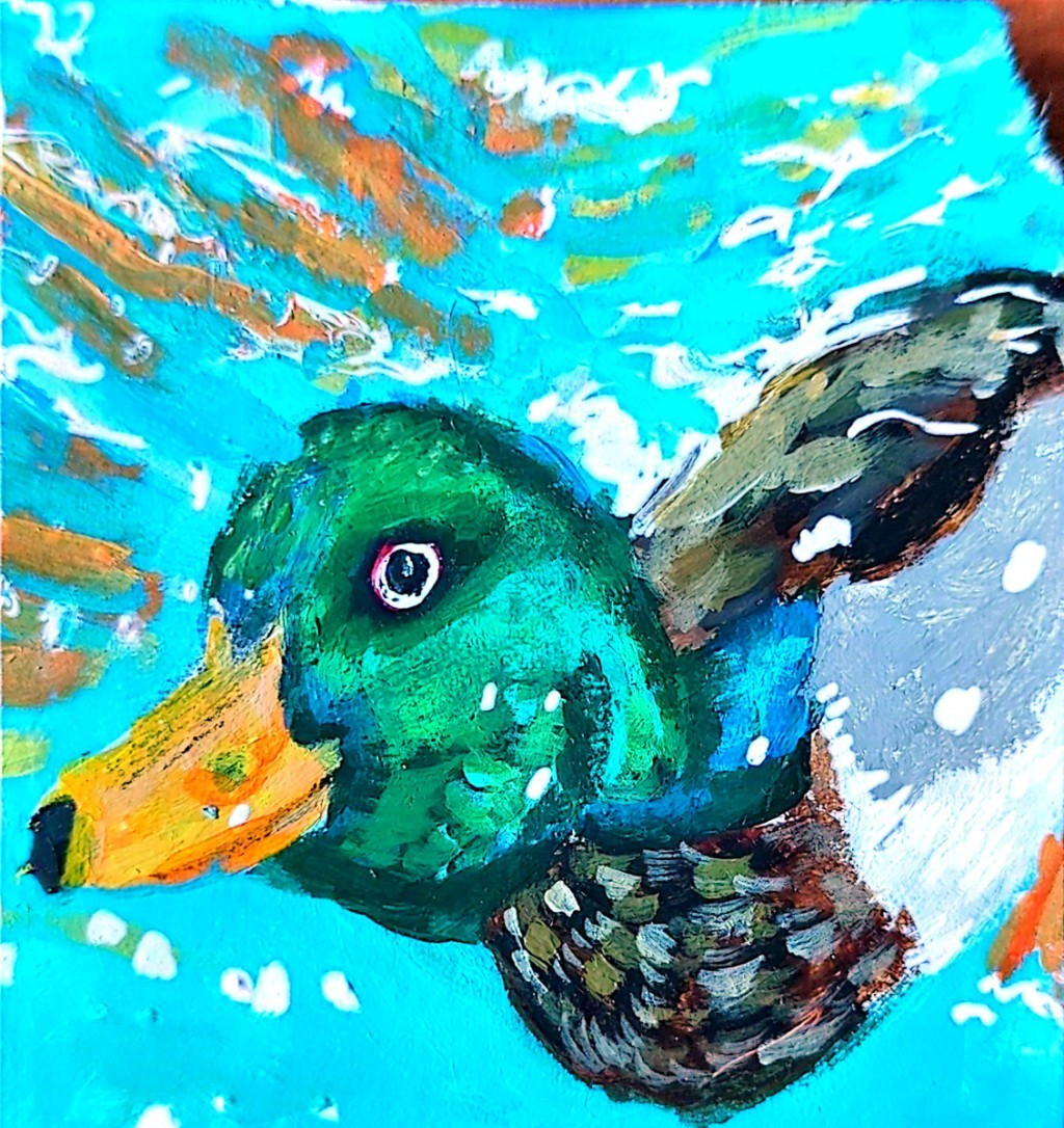 ACEO original acrylic painting by meganspreit duck mallard bird underwater swim