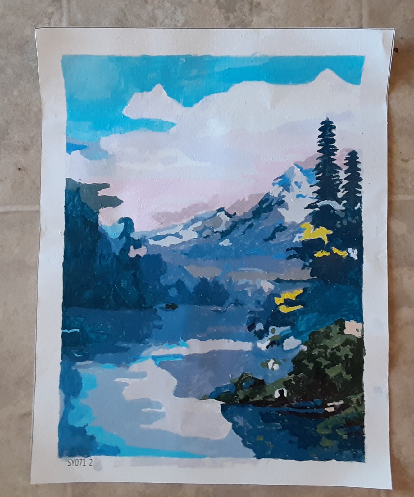 Hand Painted By Number Painting on Canvas Scene, Completed Unframed 30×40