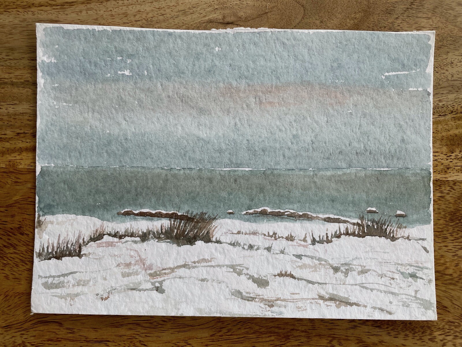 Naturalist Baltic Sea View of the Sea Dunes Sky Sweden Watercolor 24x17cm