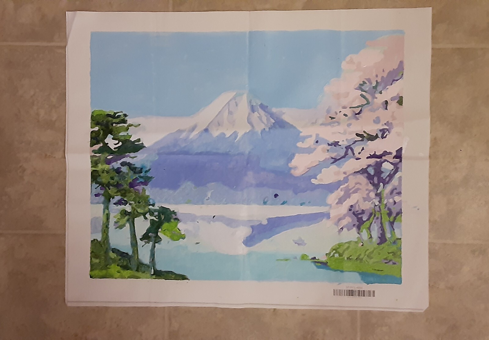 Hand Painted By Number Painting on Canvas Completed Unframed 16 x 20