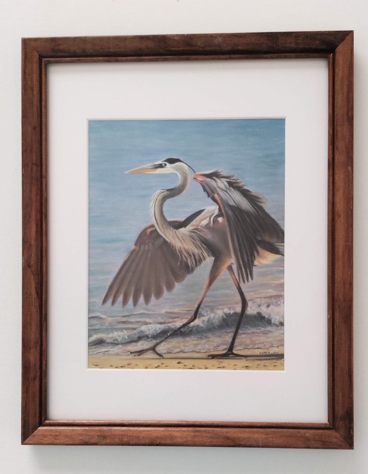 Original Realistic 11 x 14 Great Blue Heron Pastel Matted and Framed