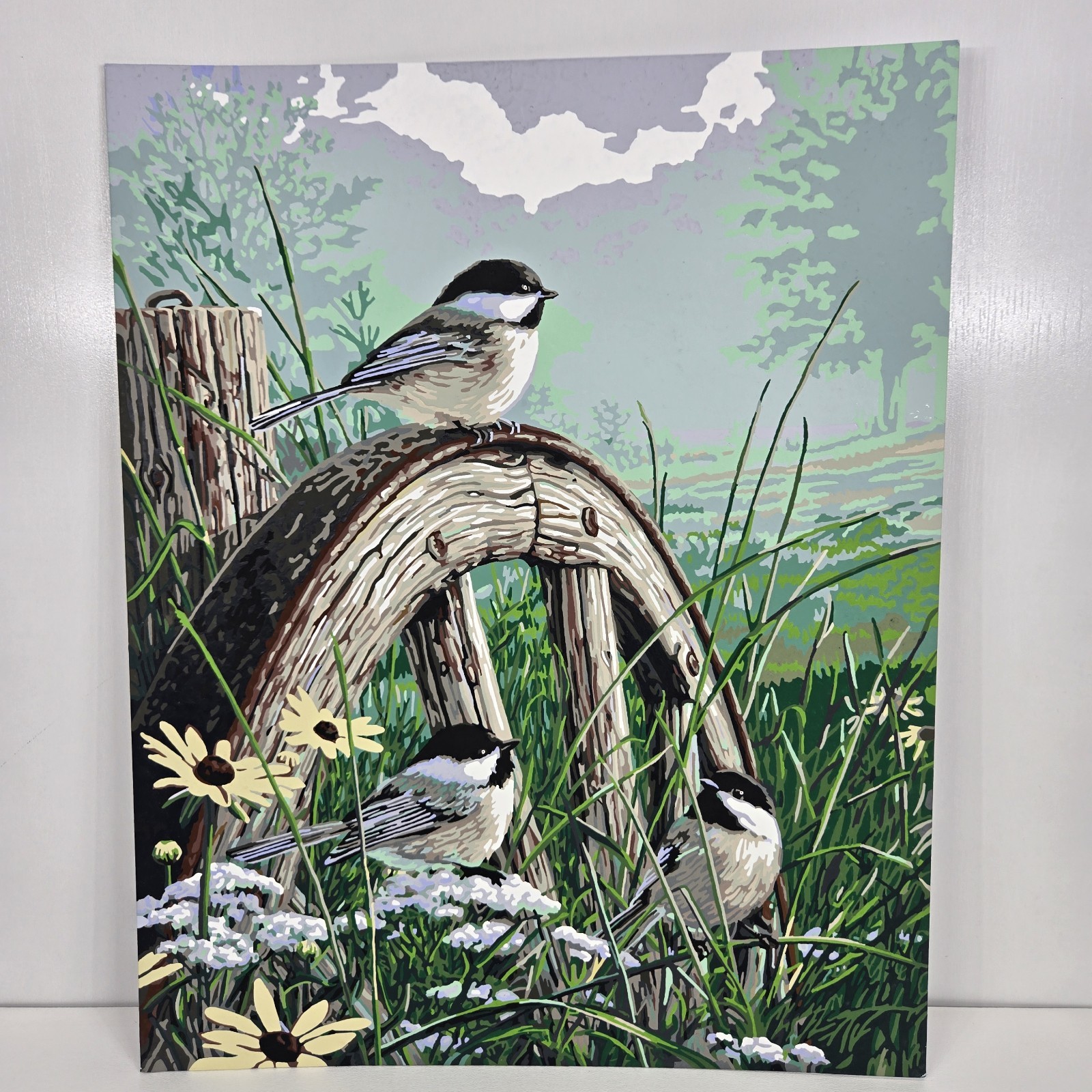Meadow’s Edge Finished Acrylic Painting Paint By Number 16×20 Aviation Chickadee