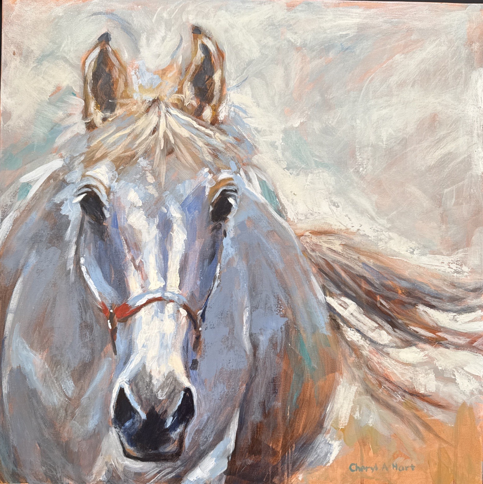 Original Painting White Horse Equine Impressionism Acrylic Expressive 24”x24”