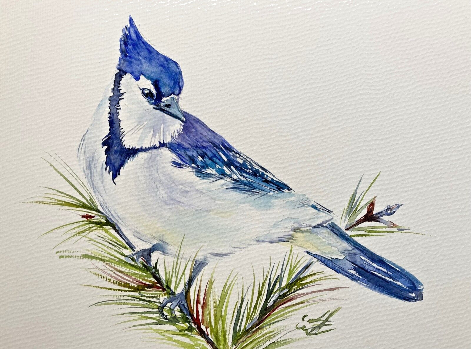 Original Watercolor Painting – Blue Jay Bird – Vibrant Nature Art by Liz Altin