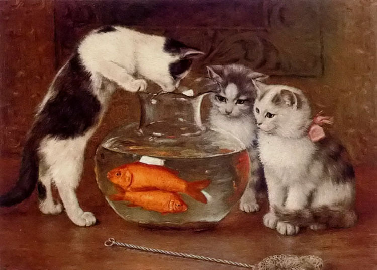 Art Oil painting Wilhelm Schwar – a tempting treat cats w ith goldfish on canvas