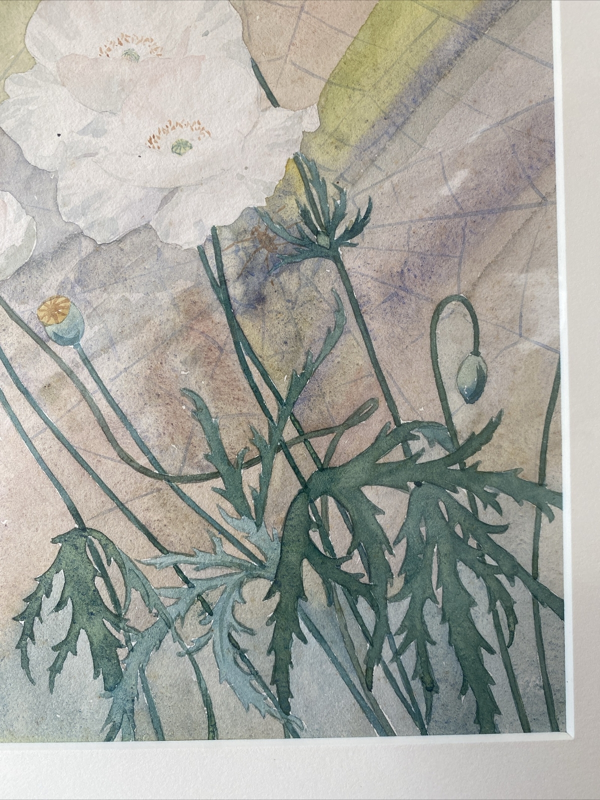 Christian Dull (Philadelphia 1902-1982) Poppies, Spider Web, exhibited PAFA 1927