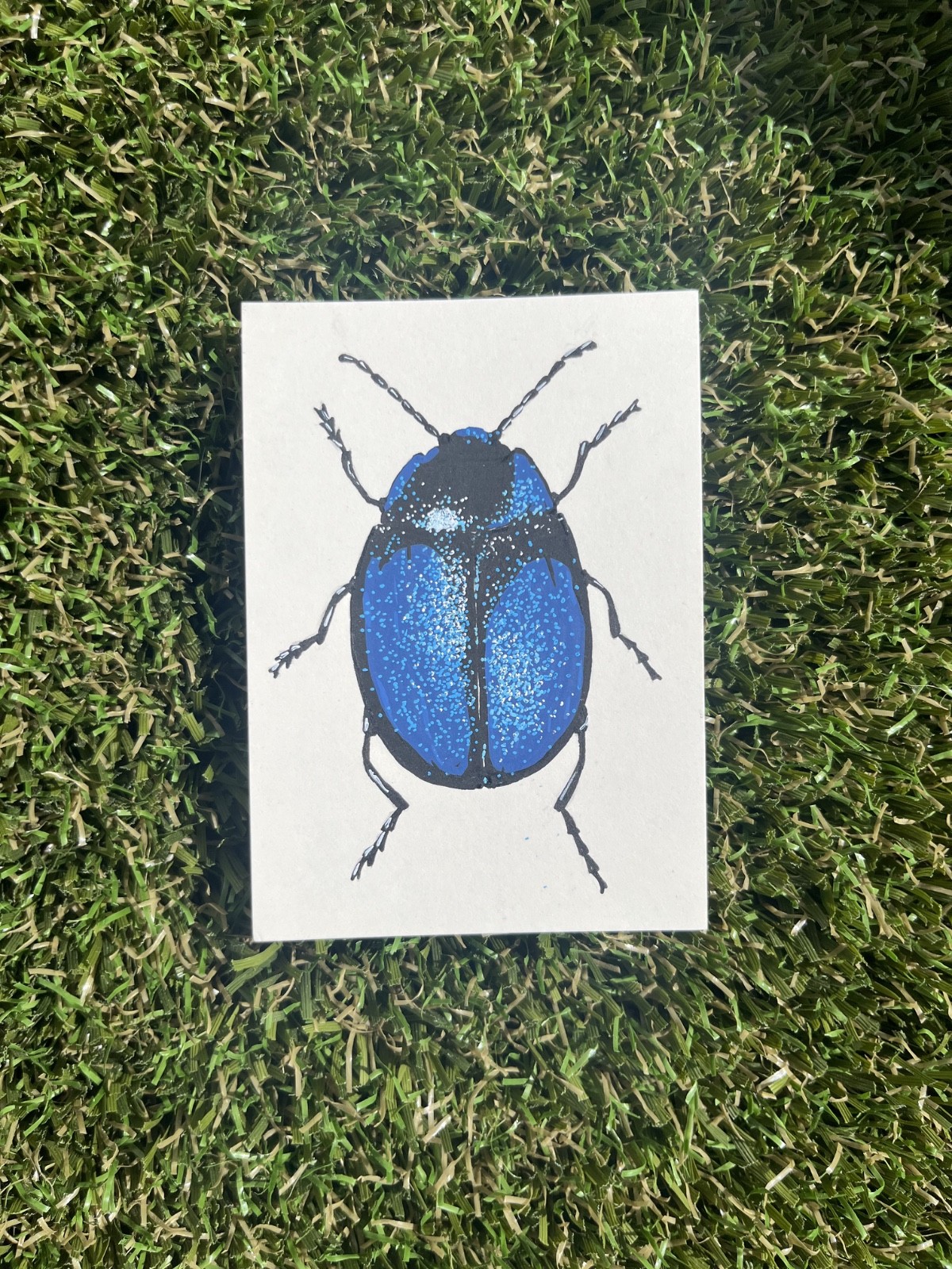 ACEO Art Card Original Beetle Insect “Specimen #03” 2.5×3.5 in (3/3)