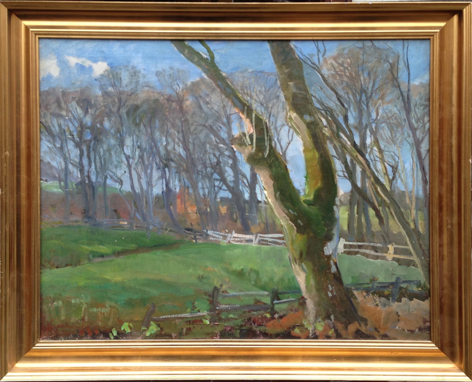 HORSE PASTURE