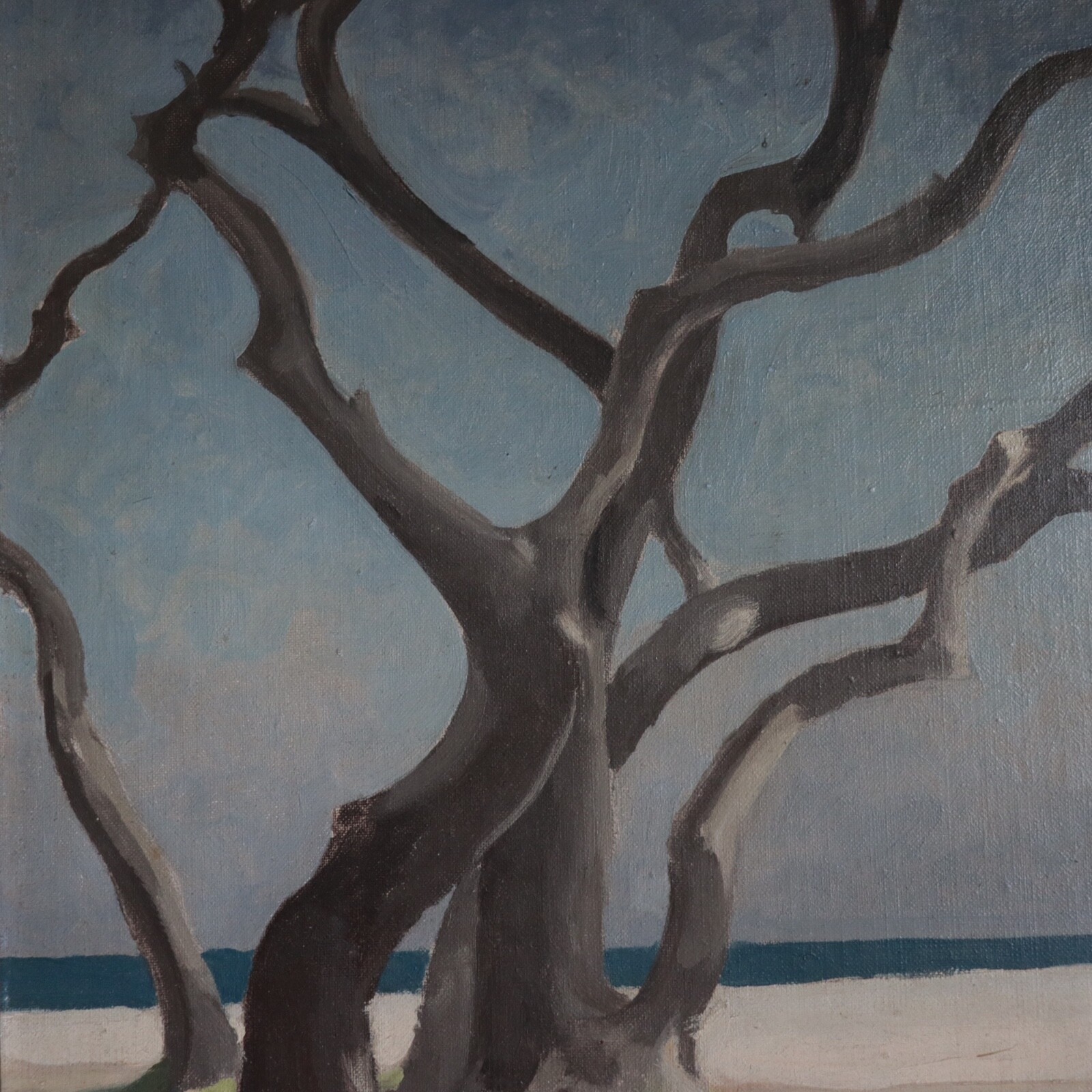 1953 Elihu Root Jr. Cedars Painting St Augustine Florida Beach Seascape New York