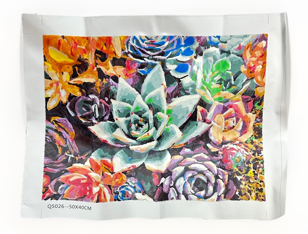 Finished Paint By Number Succulent Floral Still Life 16×20 Hand Painted Artwork