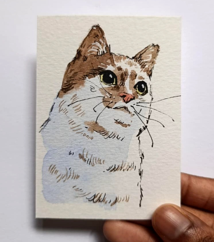 ACEO Original Watercolor Painting Brown White Cat Big Eyes Curious OOAK Art