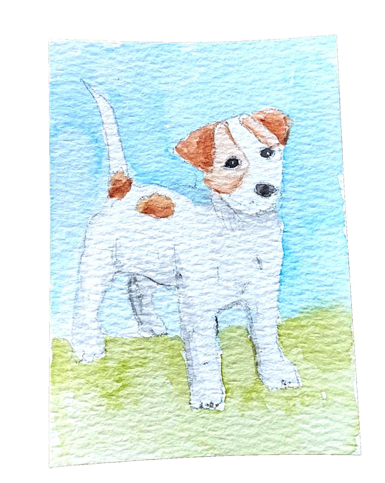 ACEO original jack russell dog cute ATC OOAK Cherie Donnell