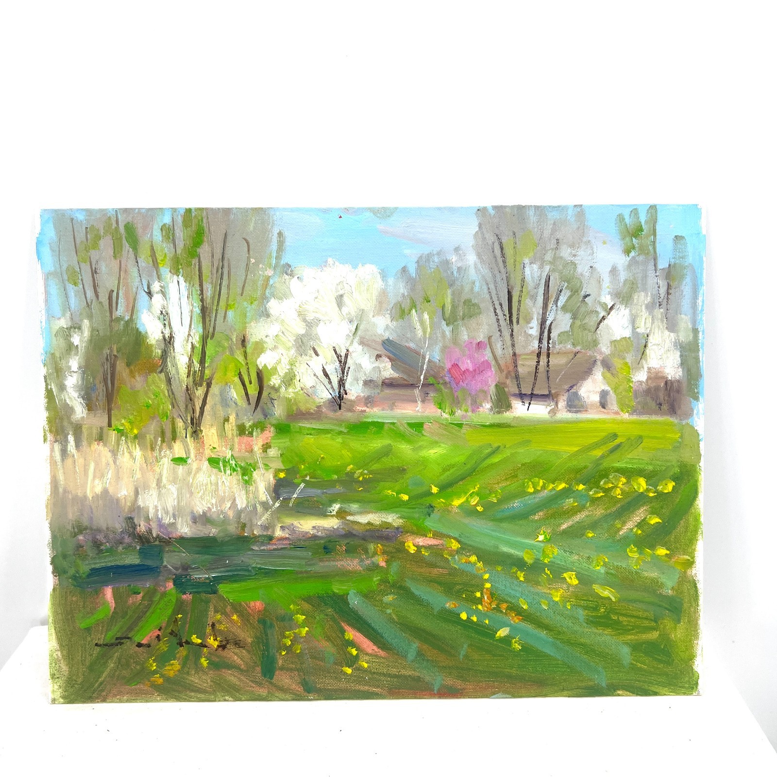 Original Artwork 12”x16” Oil On Canvas Panel Blooming Field By Tadeusz Seidel