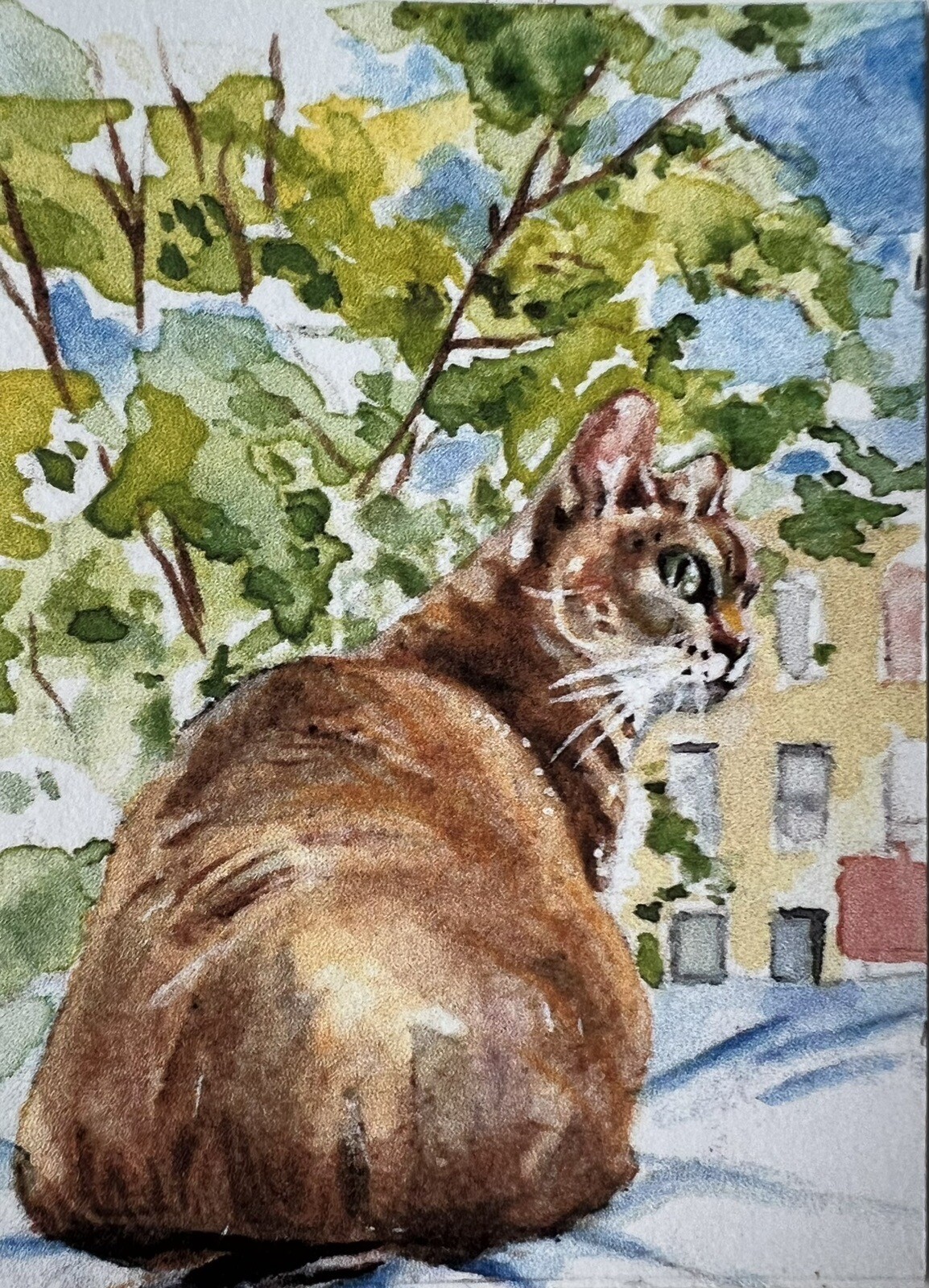 NEW!! ACEO CAT Artist Card Print Of Original Signed Watercolor