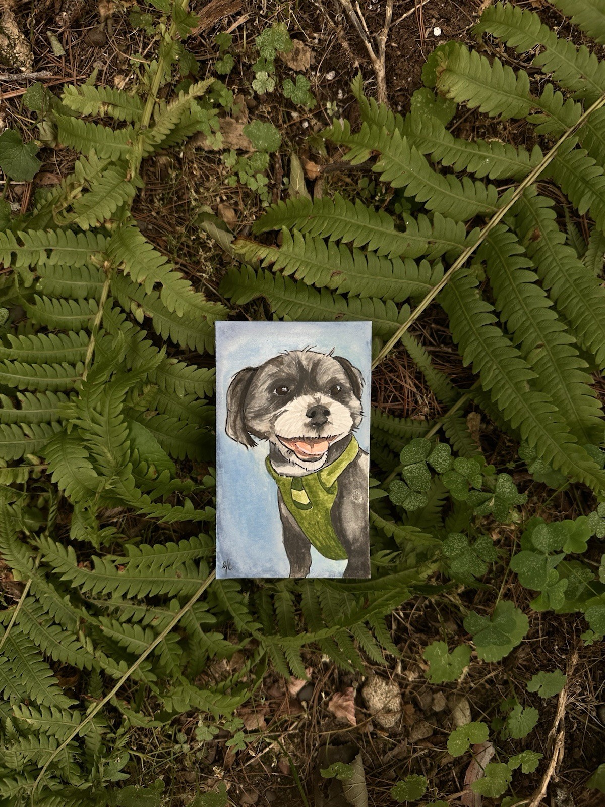 Custom Pet Portrait – Watercolor 4×6 FREE SHIPPING