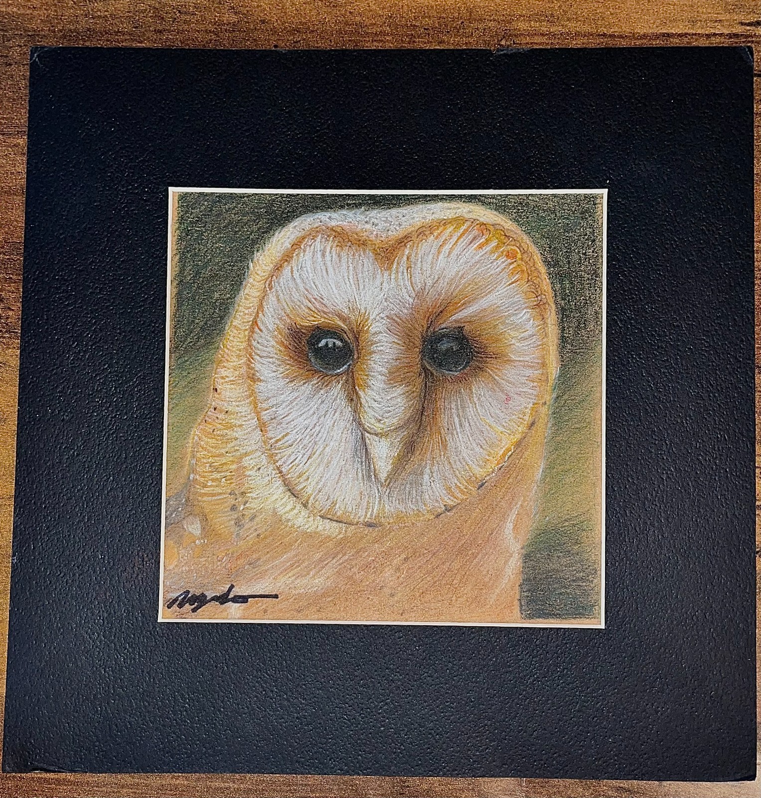 Original Colored Pencil Framed Drawing Signed Snowy Owl: “Hedwig” 10x10in