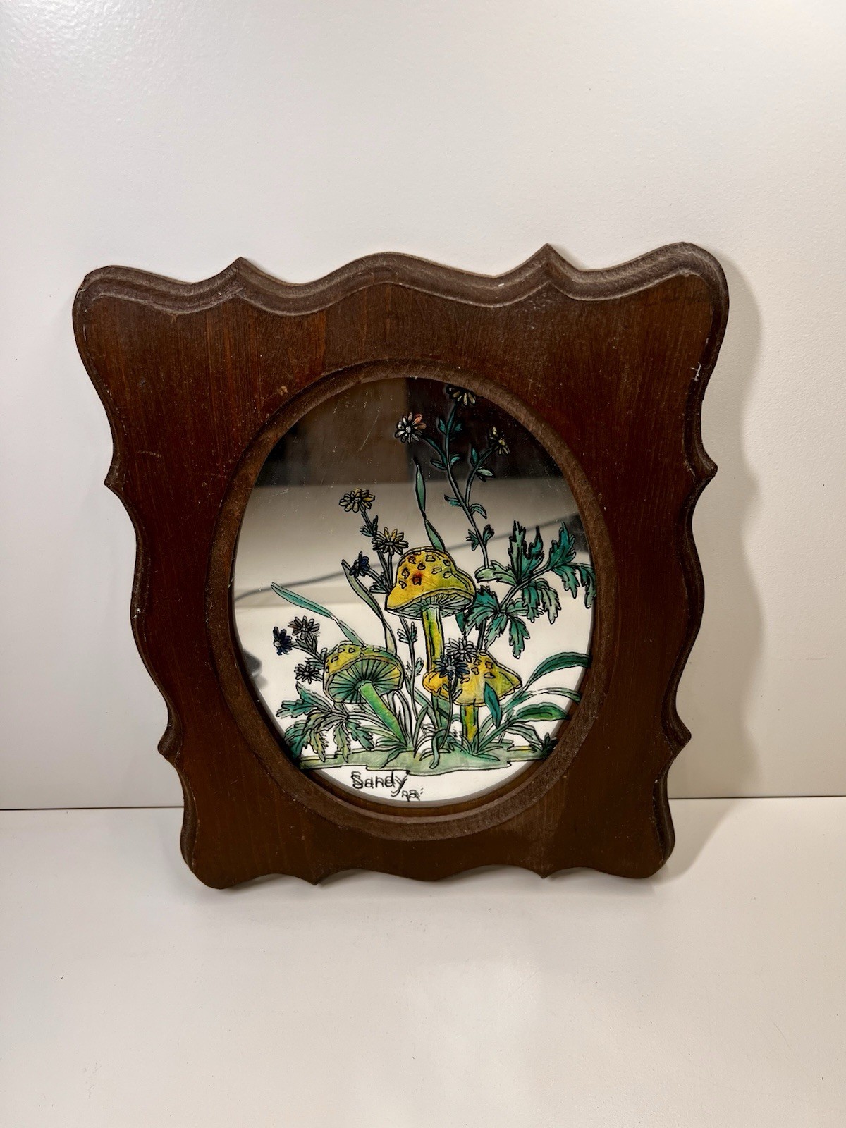 Vintage Hand Painted Glass Mirror Mushroom Art Signed Sandy 1979 Wood Frame