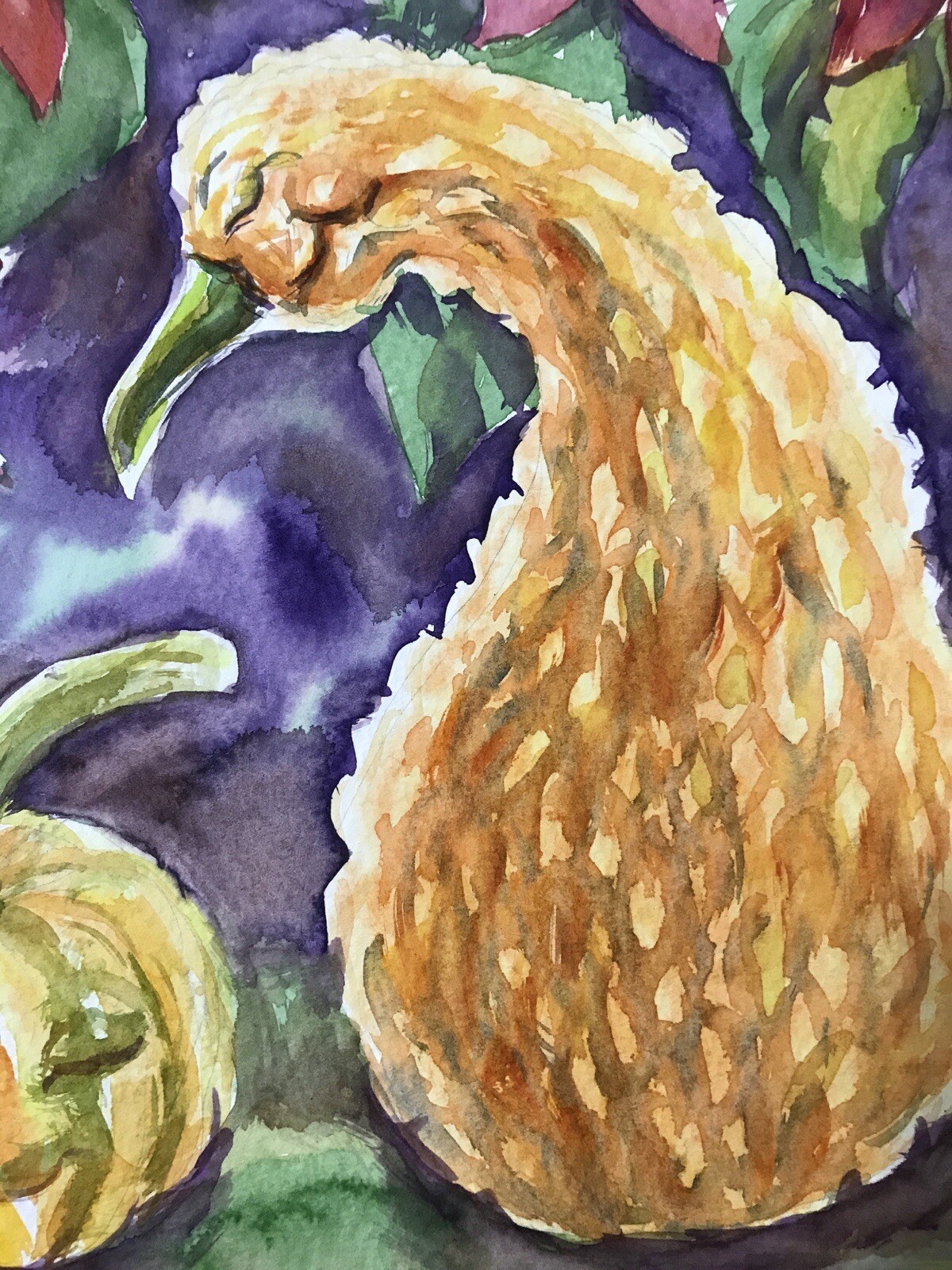 Squash Family Watercolor Painting, Original 11×15 Vegetable Wall Art, Fall Decor