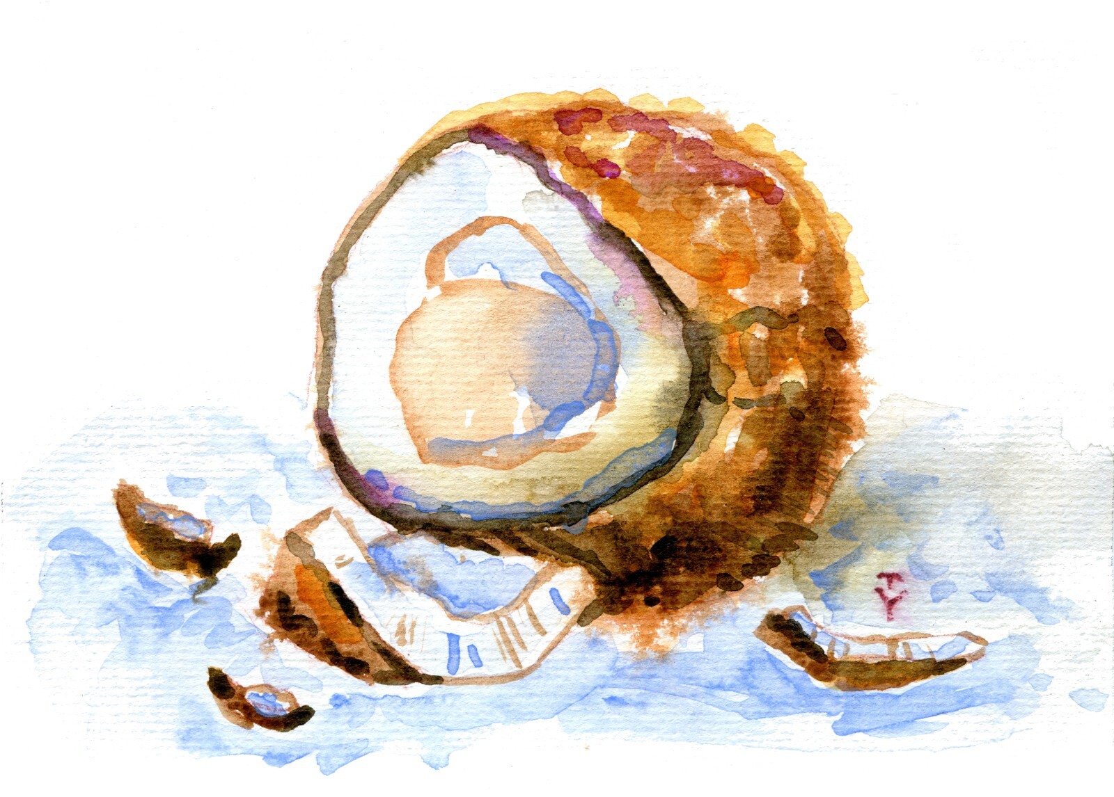WATERCOLOR Painting ORIGINAL Art Coconut food nut fruit still life wall art 5×7″