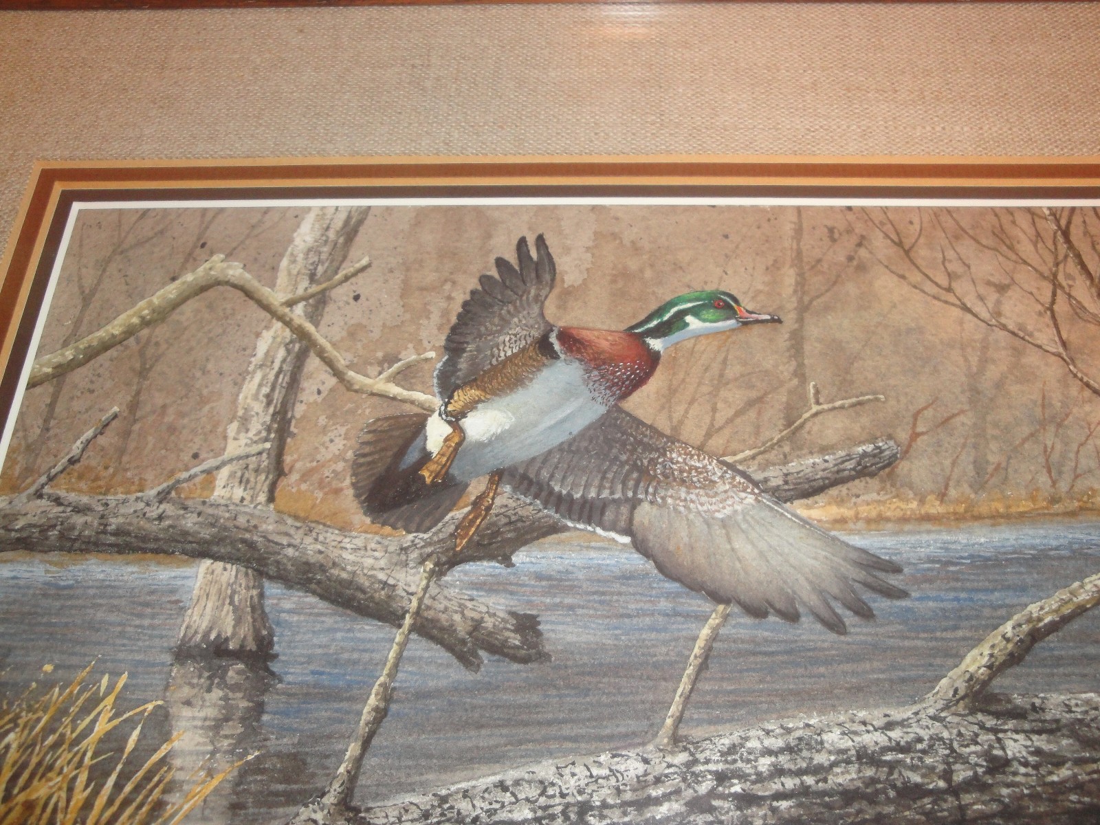 1980-81 Federal Duck Stamp Winner Plasschaert Original Painting Wood Duck NICE!