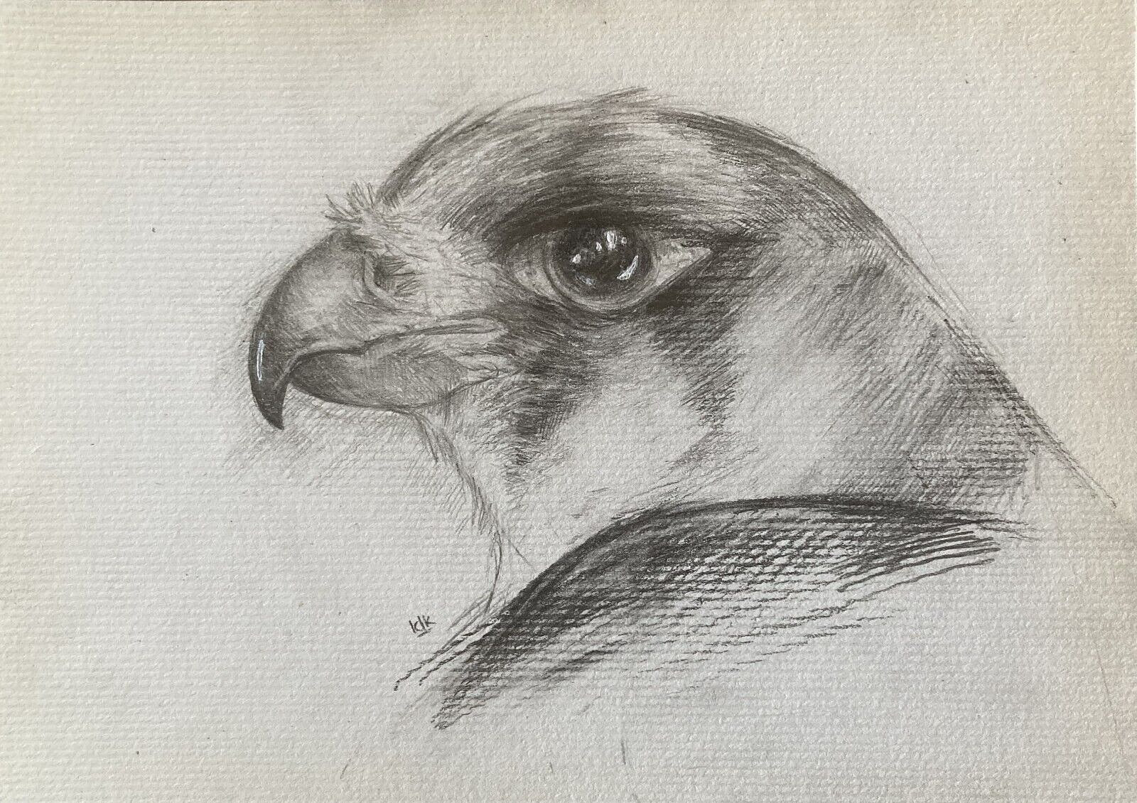 Drawing I Impressionism Bogna IDKOWIAK Eagle Bird
