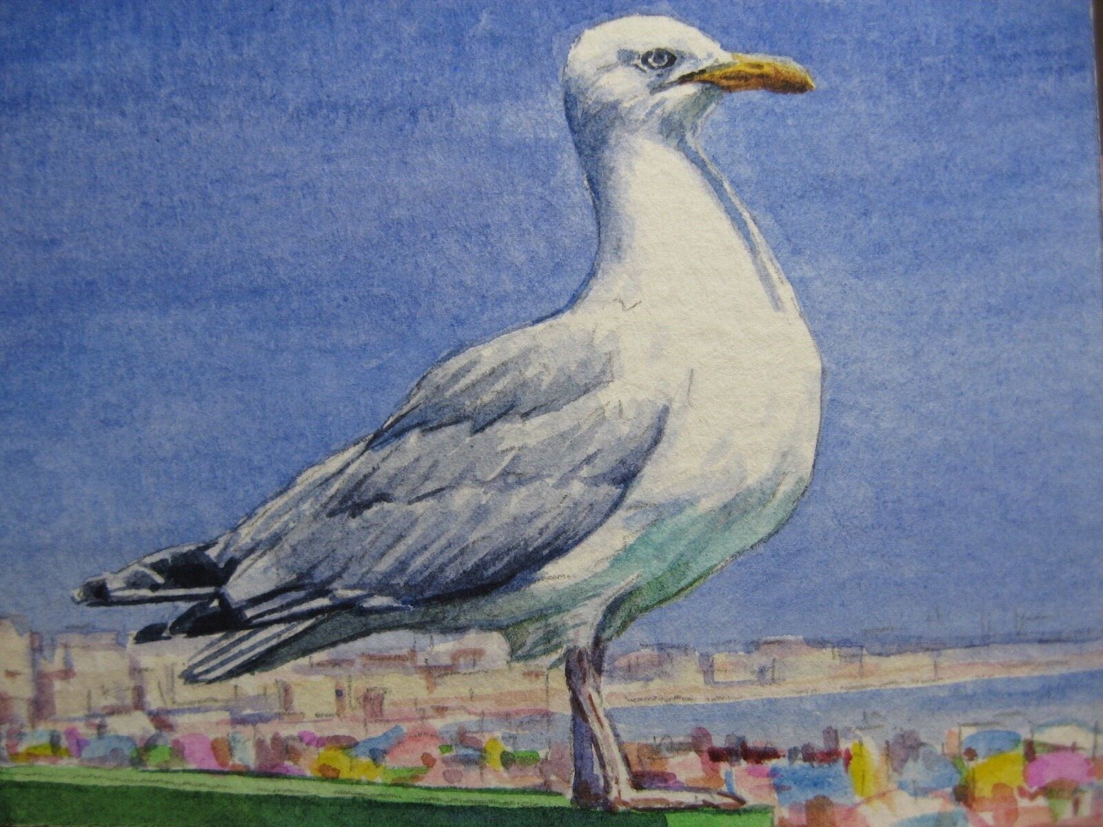 Watercolor Painting Seagull Ocean Birds Blue Sky ACEO Art