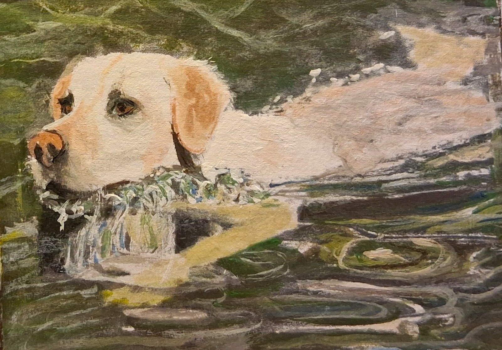 Original Miniature Painting ACEO Dog Yellow Lab Swimming in the Creek