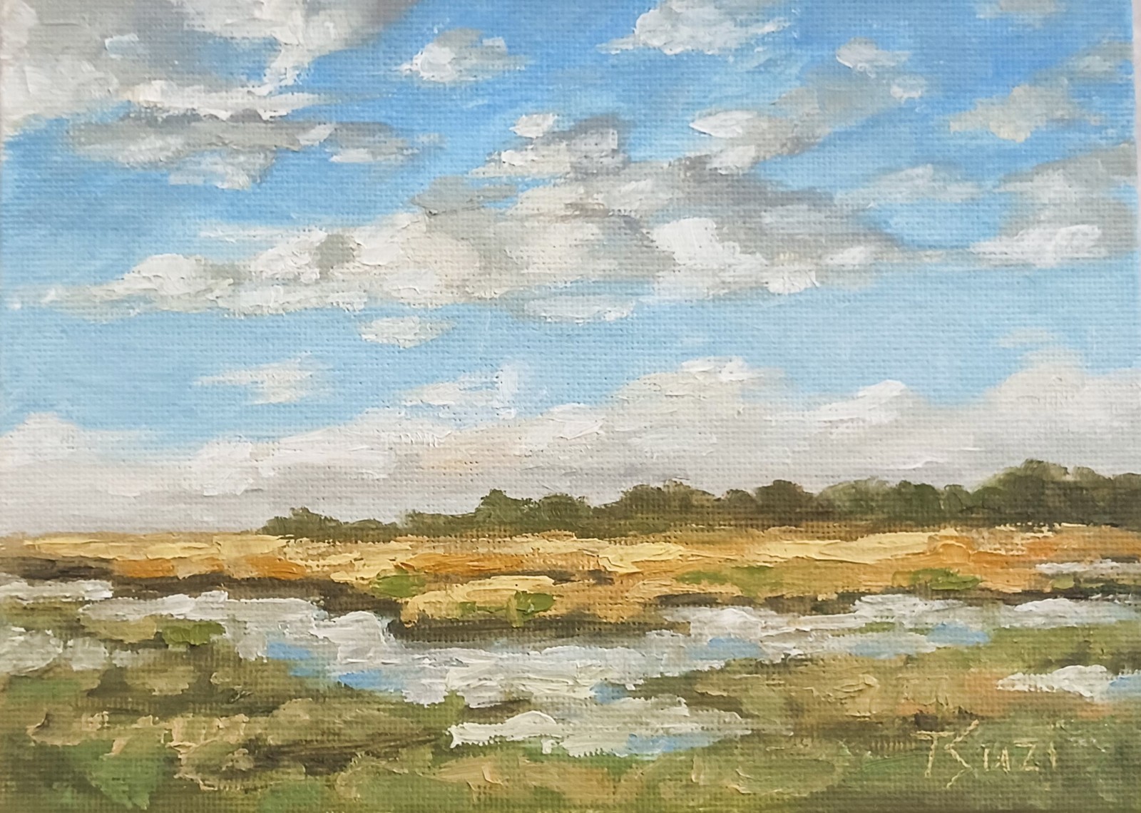 ORIGINAL Oil Painting Impressionism Marsh and Wetlands South Carolina 5″x7″