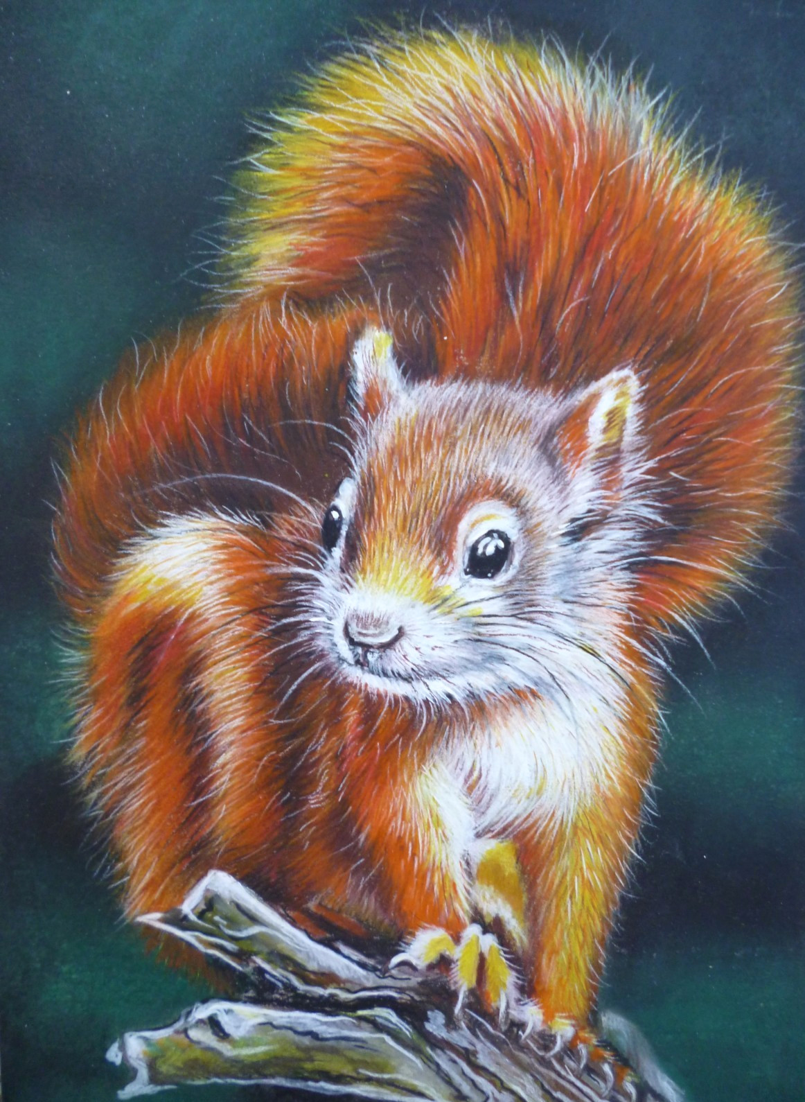 Fine Art Painting Squirrel on Branch Pastels Board Canvas 2022 Ukraine 8″ x 12″