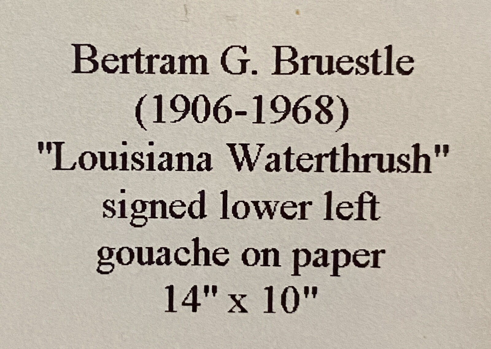 Orig Vint Bird Art Painting Louisiana Waterthrush by Bertram G. Bruestle, Signed