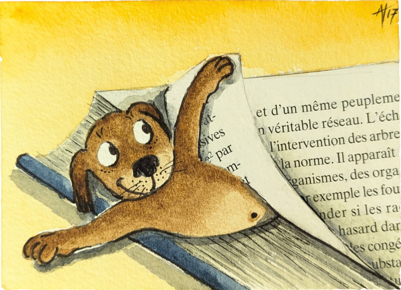 Original ACEO “Dog’s Ear”, Dog Eared (Book), By French Artist Annye Vanston