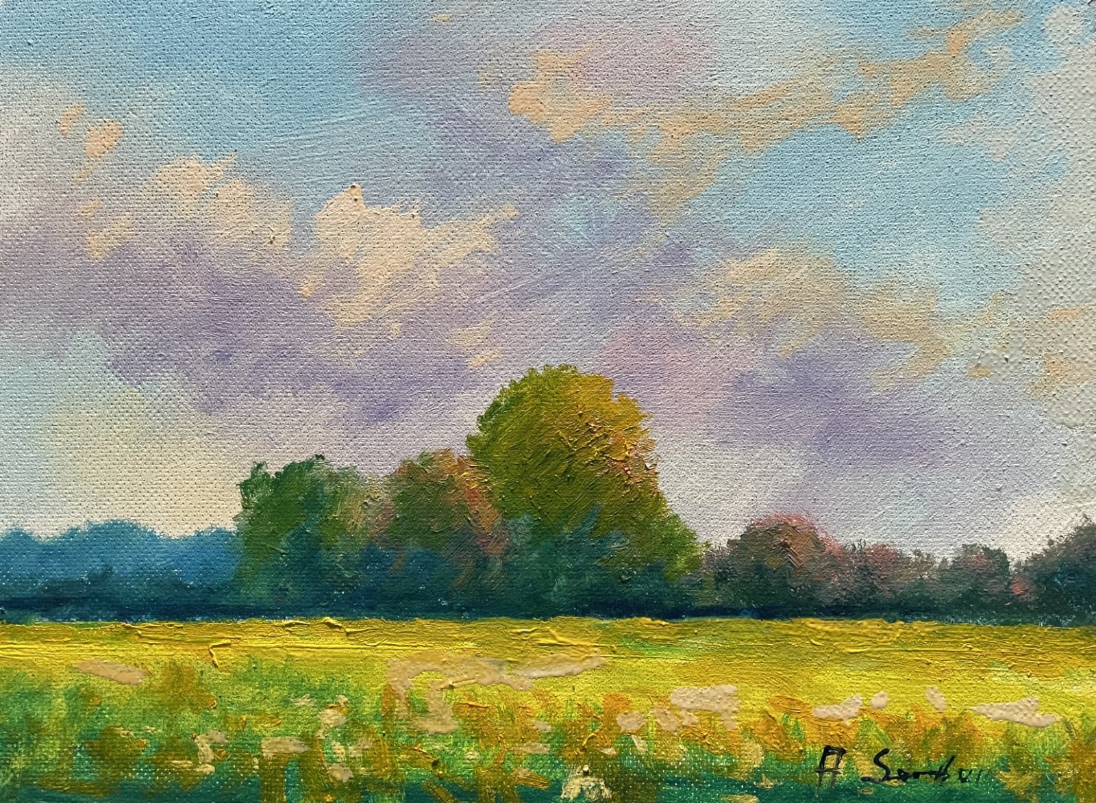 Golden Meadow Under Summer Clouds Landscape Original Oil Painting 12×16