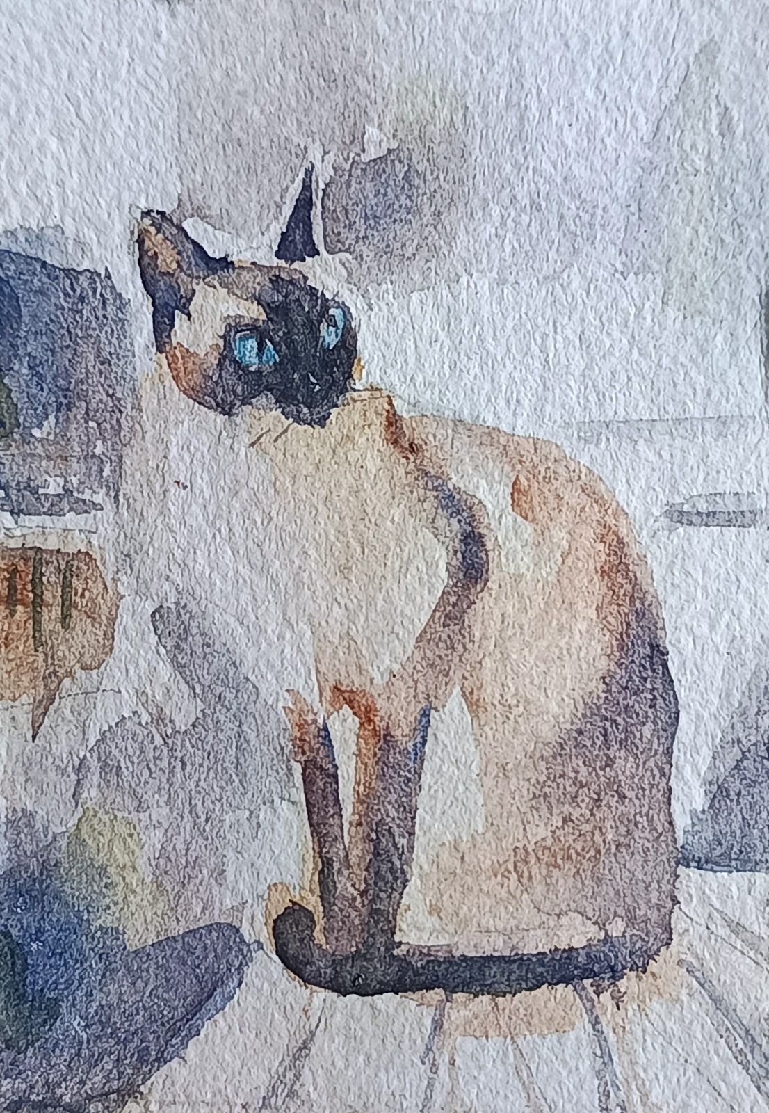 ACEO watercolor painting original Siamese cat home animal pet rural life #SIBY