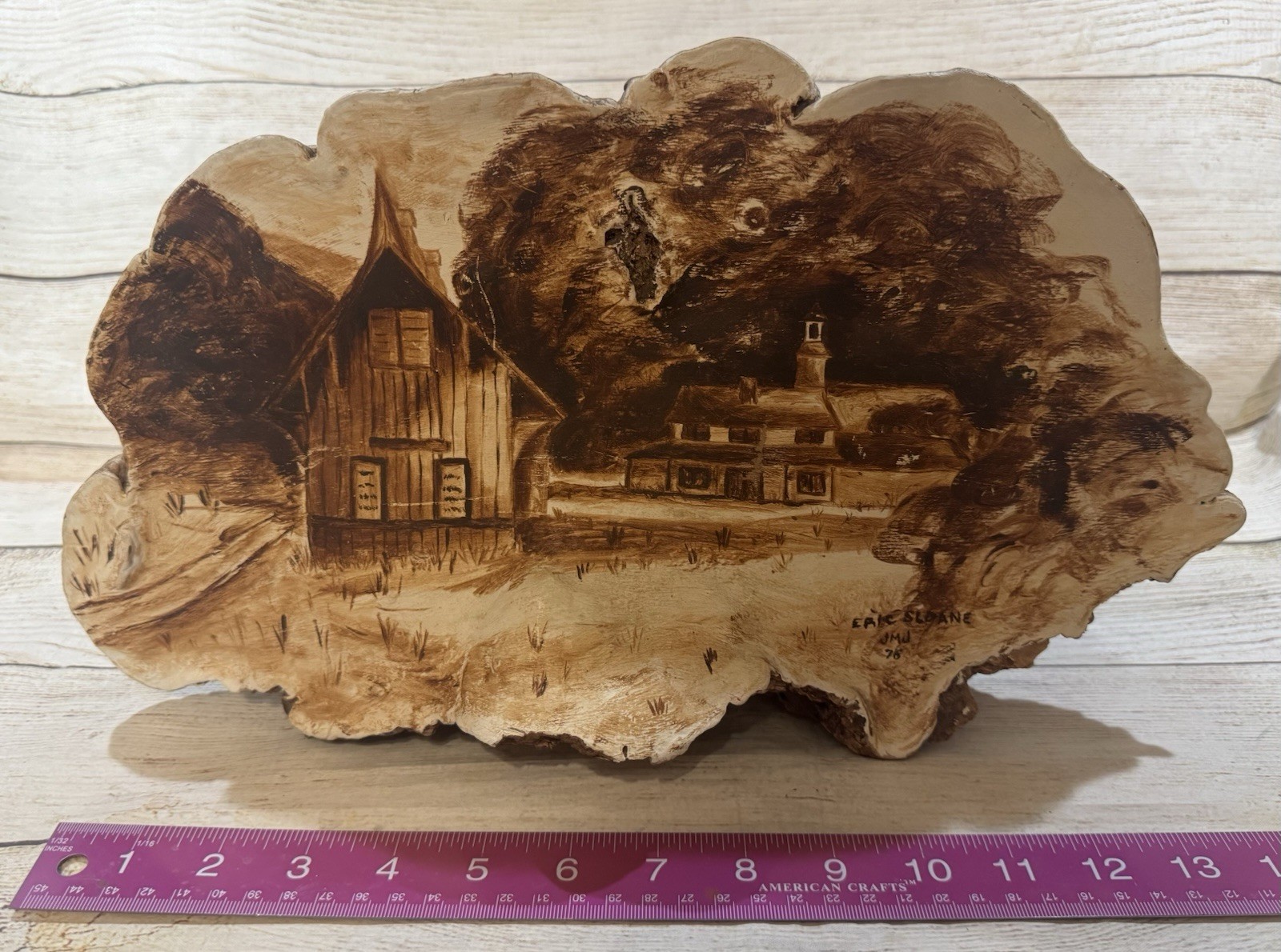 Turkey Tail Mushroom/Fungus Farm Barn Country Hand Painted Artist Signed SLOANE
