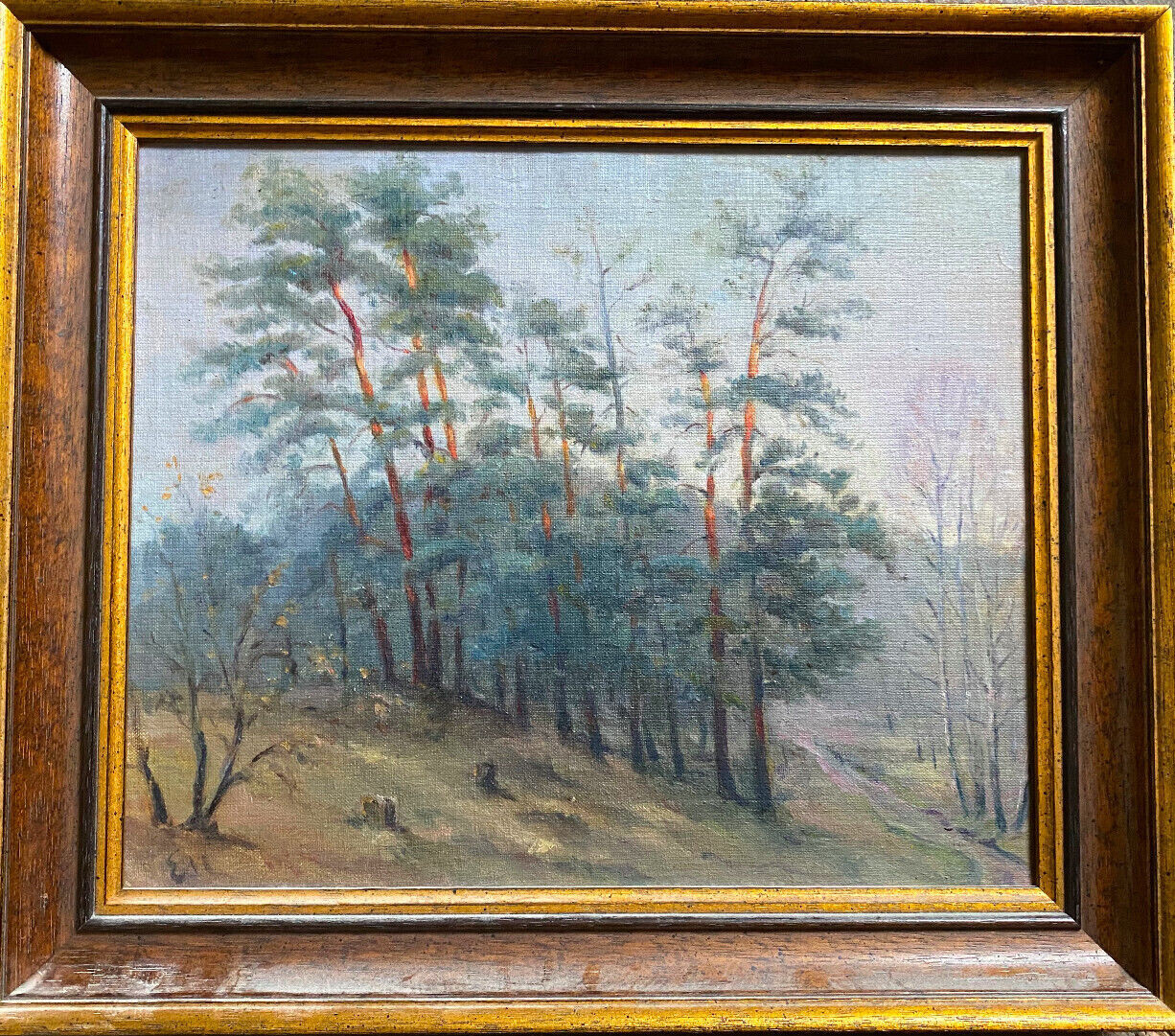 Oil painting Monogr.em Pine tree row at clearing and hiking trail in the morning